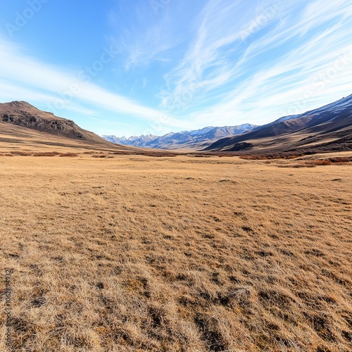 Expansive, dry, brown field with mountains in the distance under a clear blue sky.