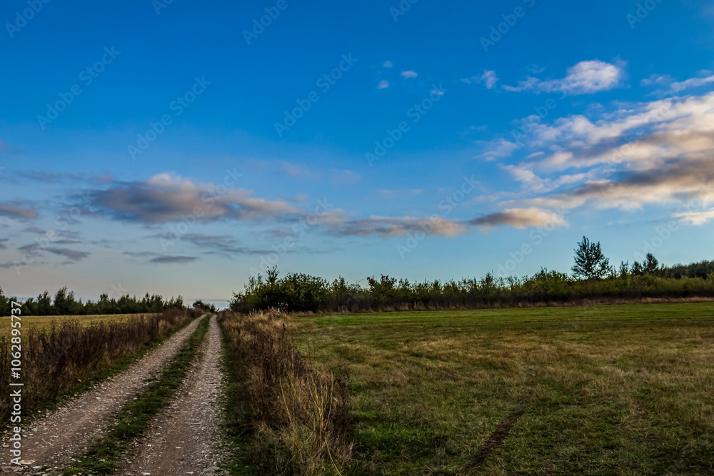 Landscapes - Forest - Europe, Romania, Suceava region Landscapes - Forest - Europe, Romania, Suceava region