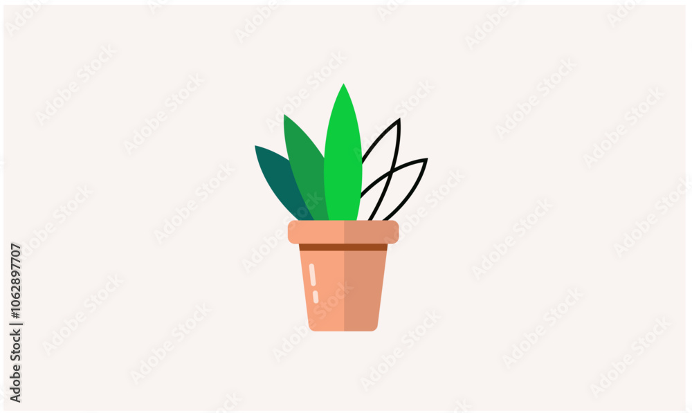 green plant and pot green plant and pot