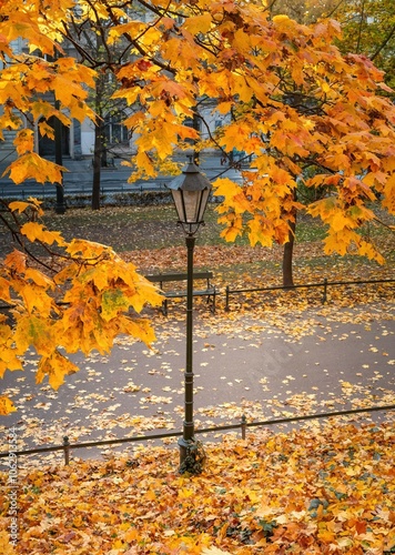 Krakowskie planty jesienią, czyli wielki park w Krakowie