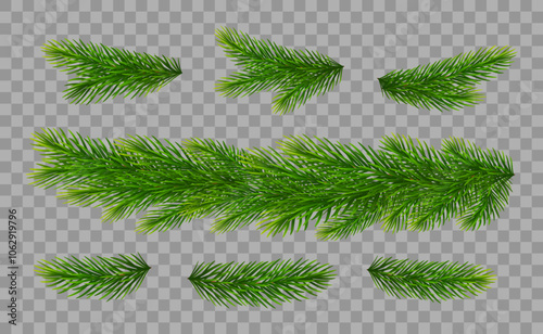 Christmas fir tree branches on transparent background. Pine, spruce green branches and border for Christmas decorations. Vector illustration