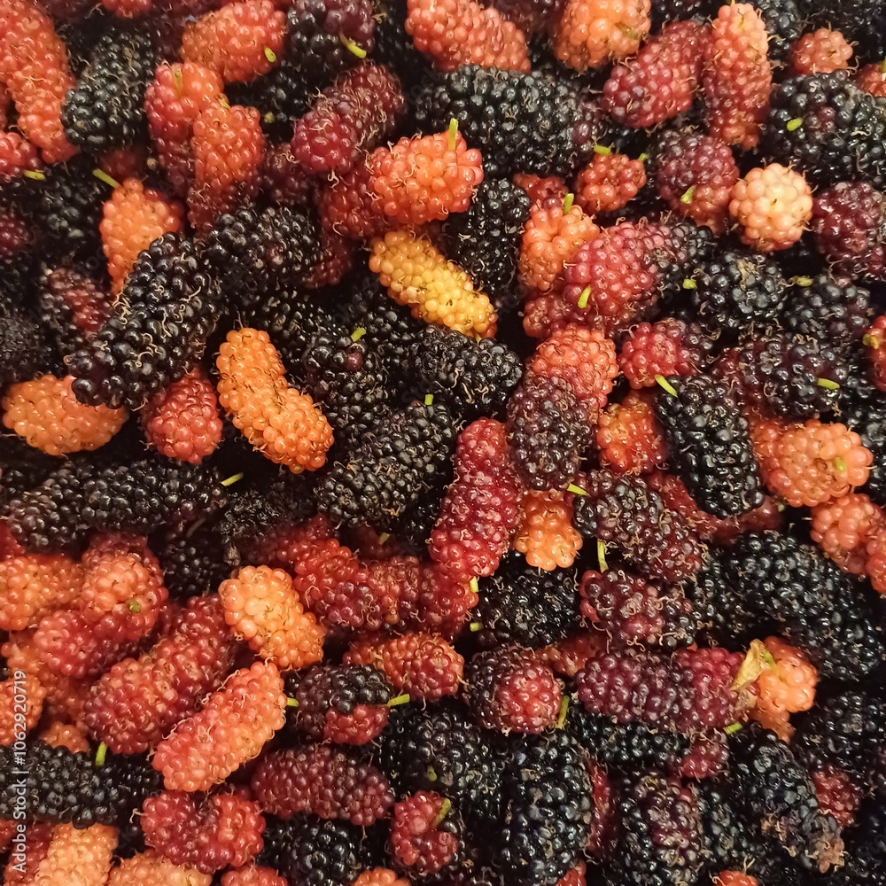 Fresh ripe mulberries Fresh ripe mulberries