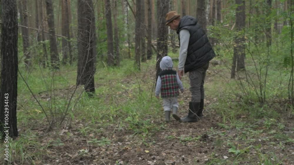 Father and son walk in a green forest, picking mushrooms and berries Father and son walk in a green forest, picking mushrooms and berries