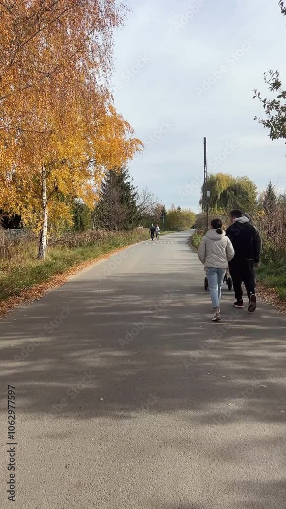 A family walks with a baby carriage in the park on a sunny autumn day A family walks with a baby carriage in the park on a sunny autumn day
