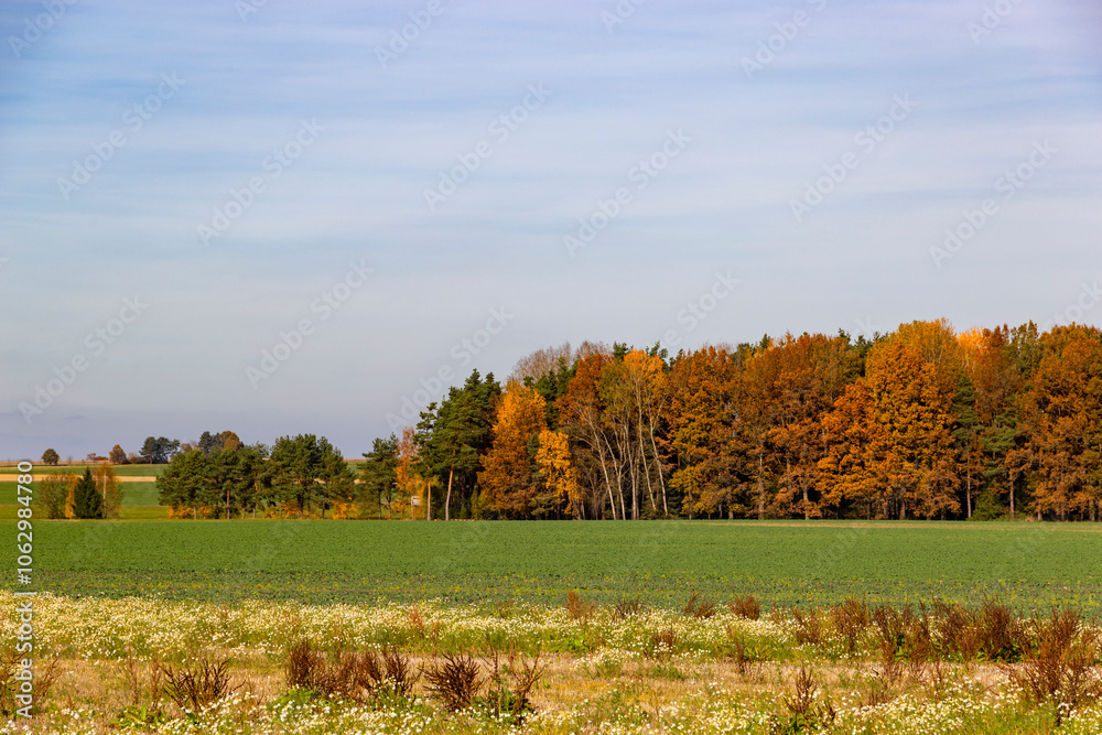 An autumn landscape with fields and forests in Central Europe.