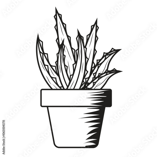 Hand Drawn Aloe Vera