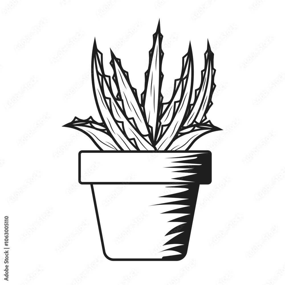 Hand Drawn Aloe Vera Hand Drawn Aloe Vera
