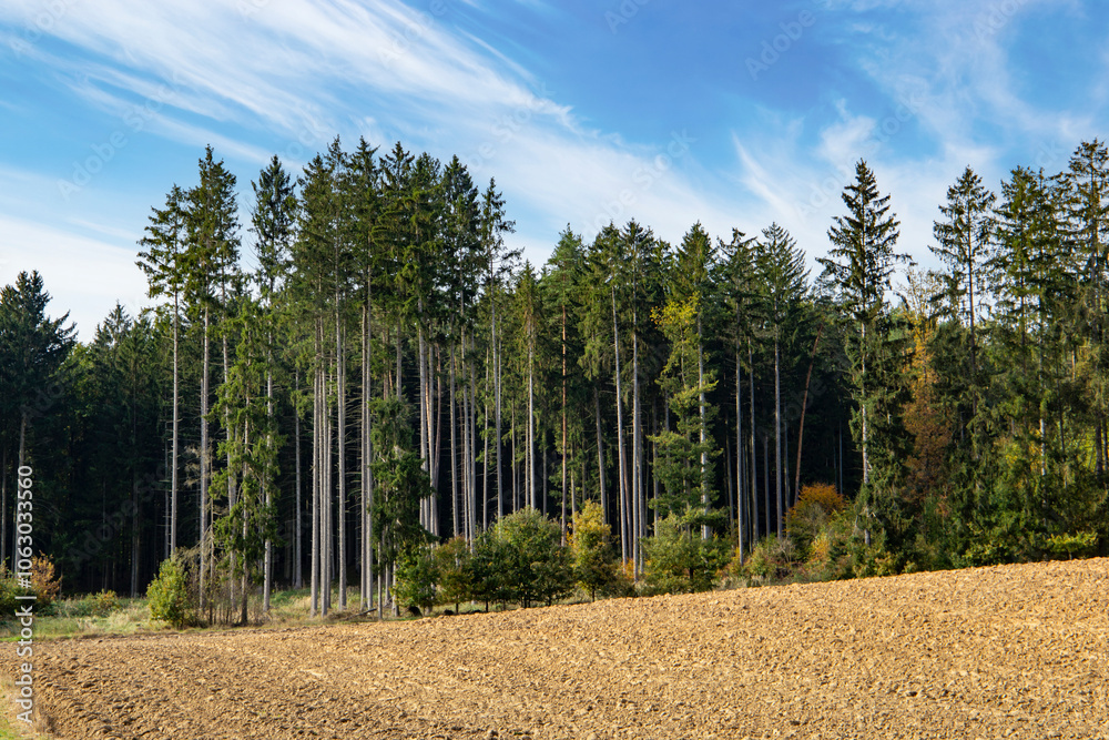 An autumn landscape with fields and forests in Central Europe.