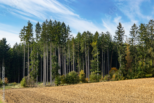 An autumn landscape with fields and forests in Central Europe.