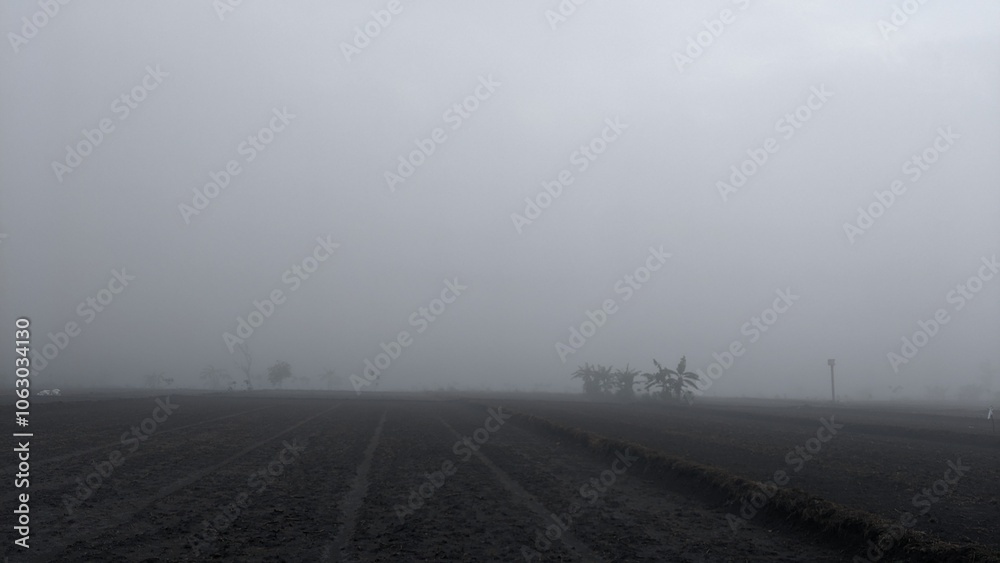 A dense fog envelops a field, obscuring the view of distant objects. The field is divided into rows, and a few trees or plants are barely visible in the fog. The atmosphere is misty and mysterious. A dense fog envelops a field, obscuring the view of distant objects. The field is divided into rows, and a few trees or plants are barely visible in the fog. The atmosphere is misty and mysterious.