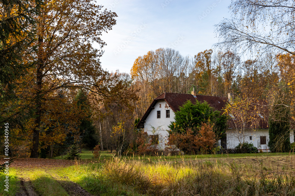 An old country house lost deep in the forest on a sunny autumn day.