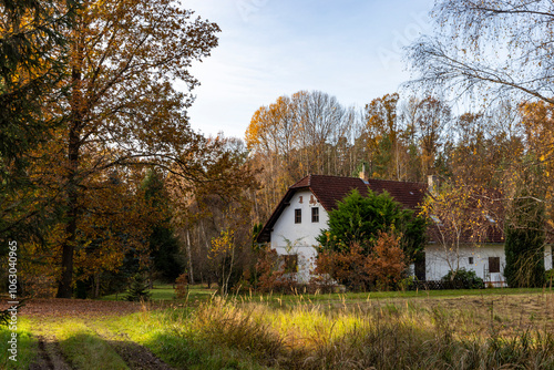 Obraz na płótnie An old country house lost deep in the forest on a sunny autumn day. w salonie
