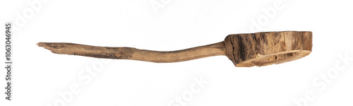dry cut of tree with branch isolated on white background