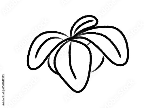 Illustration of plants in pots or illustration of ornamental plants