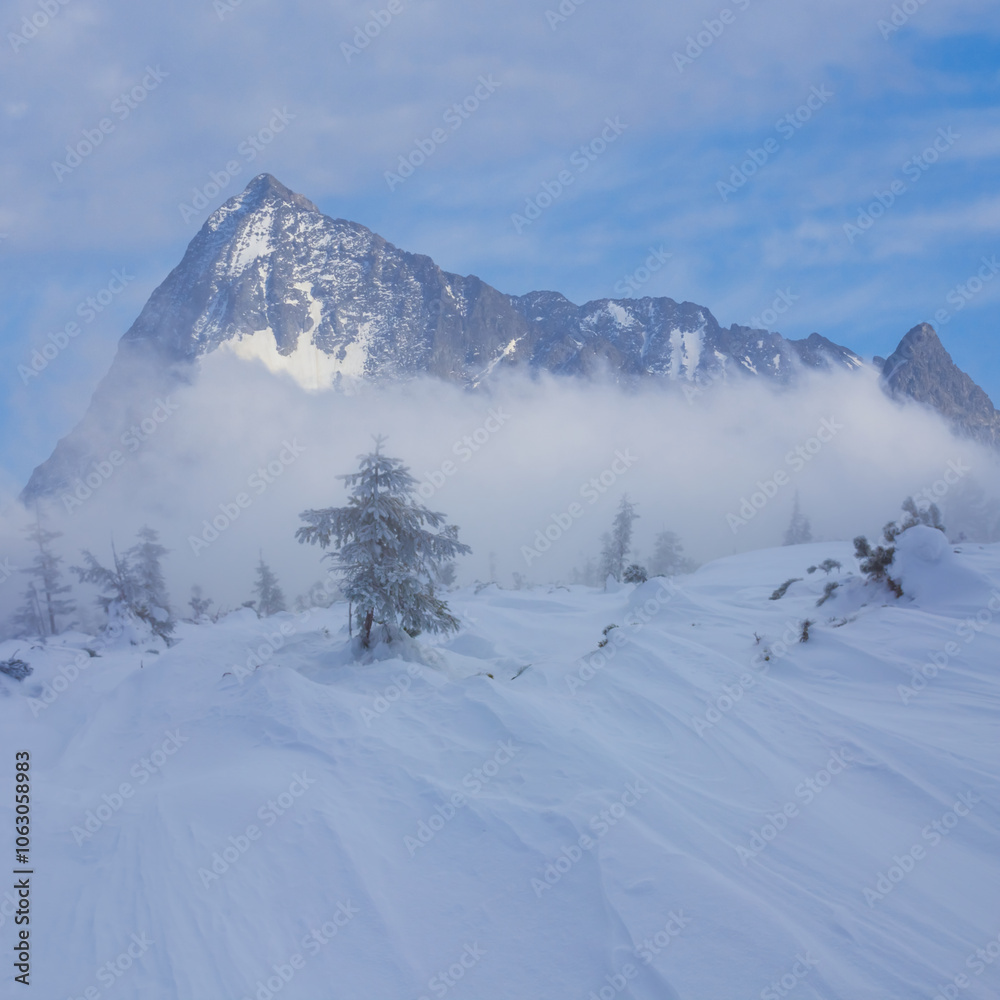 snowbound mountain valley in dense mist and clouds snowbound mountain valley in dense mist and clouds