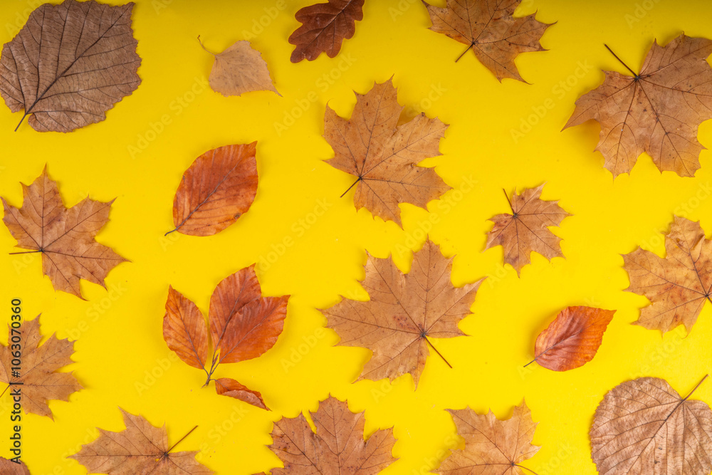 Fototapeta premium Minimal sparse autumn background with fall leaves