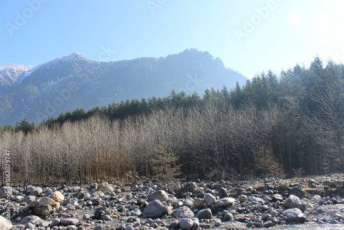 Canvas Print Mountain river near Shimla of India. Photo: March 24, 2013