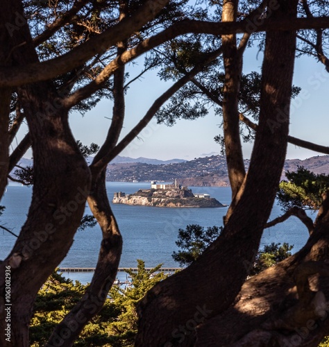 View of Alcatraz Island framed by trees, set against the San Francisco Bay and distant hills