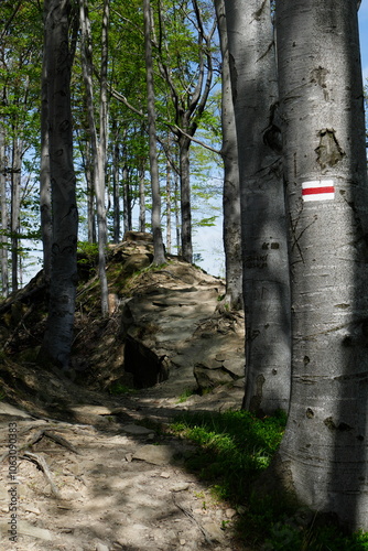 górski szlak, turystyka górska photo