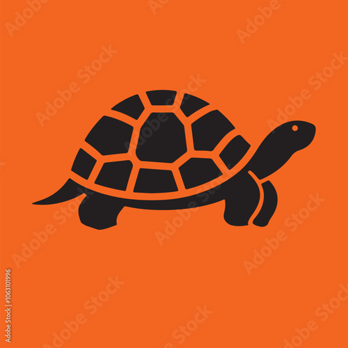 illustration of turtle