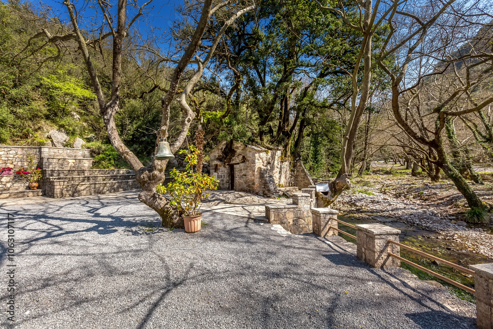 Agia Theodora of Vasta miracle church in Peloponnese, Greece. Trees growing on the roof without roots inside Agia Theodora of Vasta miracle church in Peloponnese, Greece. Trees growing on the roof without roots inside