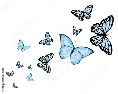 flock new blues
