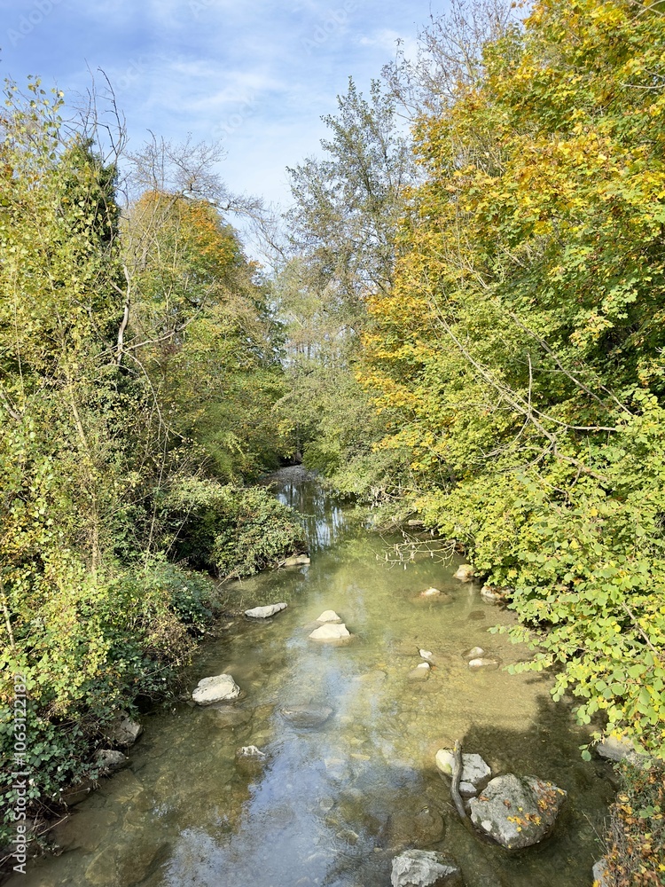 A shallow, clear stream with green and yellow foliage A shallow, clear stream with green and yellow foliage
