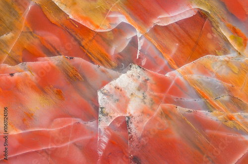 Macrophotograph of Arizona Petrified Wood Detail photo