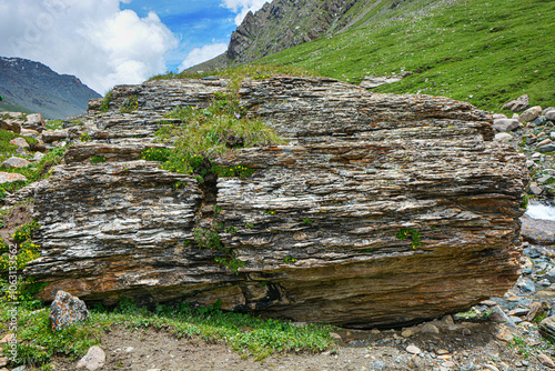 Vegetation on a large rock in the mountains. Terskey Alatoo mountains, Karakol, Kyrgyzstan