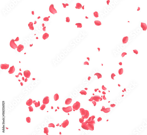 Rose petals or sakura flying petals, romantic background with realistic pink cherry flower petals flow or falling motion. Love, romance, floral spring season