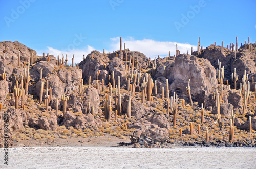 Isla Incahuasi  hilly and rocky outcrop of land  situated in the middle of Salar de Uyuni, Bolivia photo