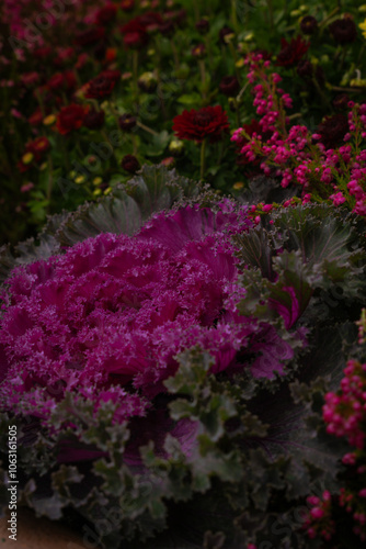 pink flowers in a garden