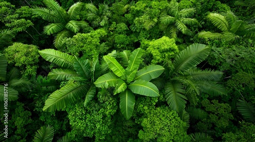 Stunning aerial view of the lush verdant rainforest canopy stretching out as far as the eye can see in the Amazon region of South America This breathtaking natural landscape showcases the vibrant