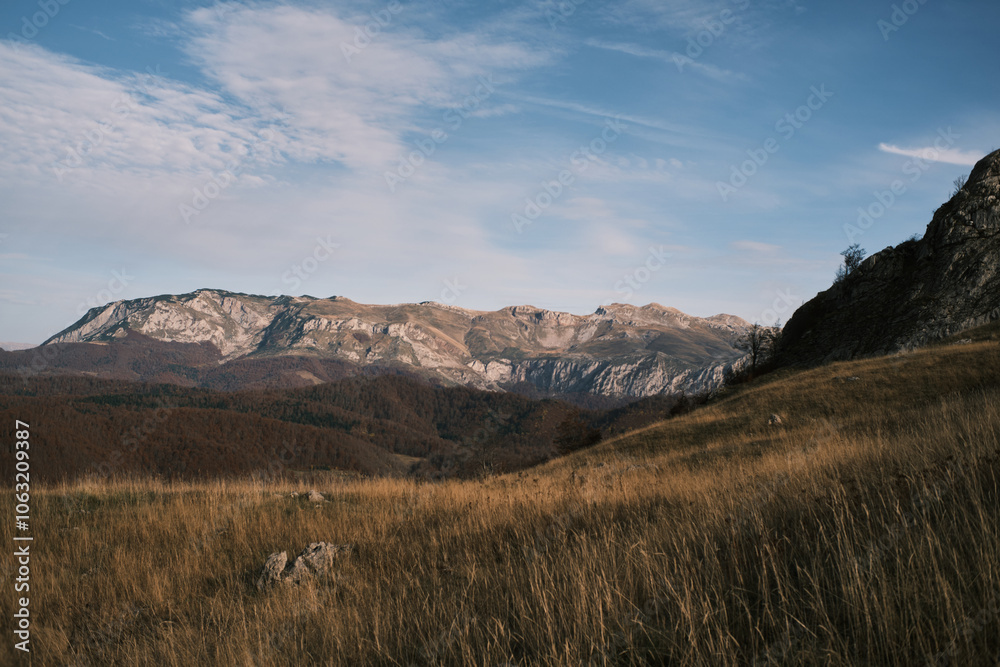 Fototapeta premium autumn landscape in the mountains
