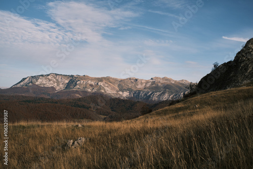 autumn landscape in the mountains