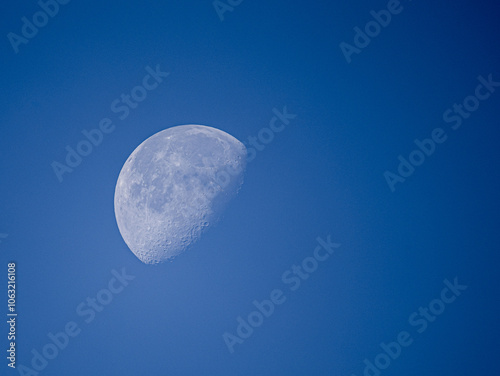 daylight moon in the sky photo