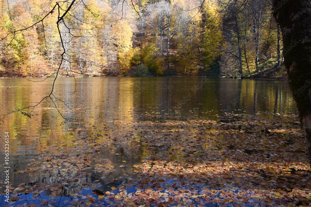 Fototapeta premium Beautiful mountain lake