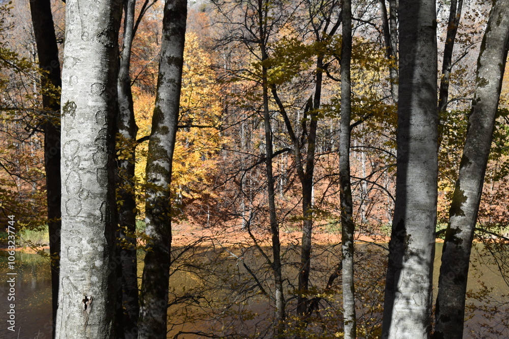 Fototapeta premium Beautiful mountain lake