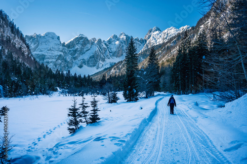 Julian Alps immersed in snow. Riofreddo Valley, wild and magical photo