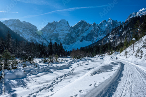 Julian Alps immersed in snow. Riofreddo Valley, wild and magical photo