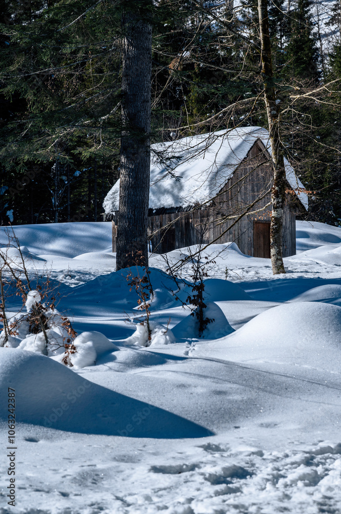 Julian Alps immersed in snow. Riofreddo Valley, wild and magical Julian Alps immersed in snow. Riofreddo Valley, wild and magical
