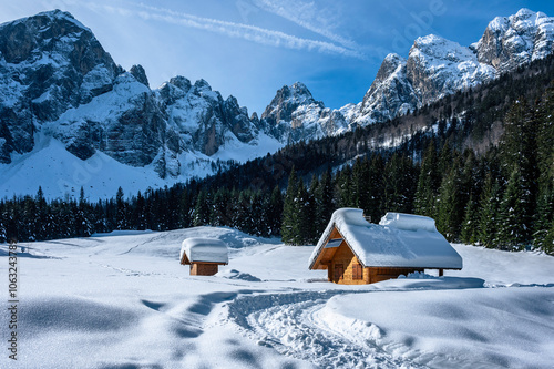 Julian Alps immersed in snow. Riofreddo Valley, wild and magical photo