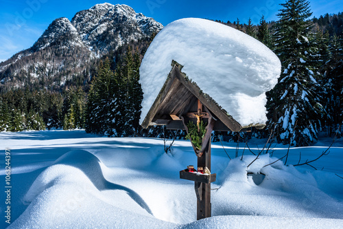 Julian Alps immersed in snow. Riofreddo Valley, wild and magical photo