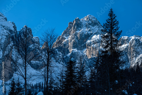 Julian Alps immersed in snow. Riofreddo Valley, wild and magical photo