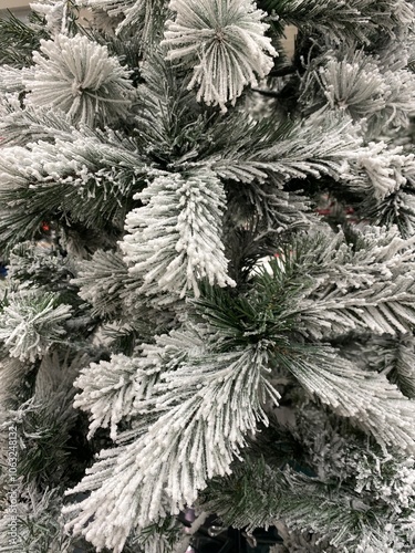 Snow on the pine tree