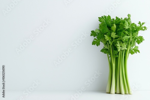 Celery isolated on white background