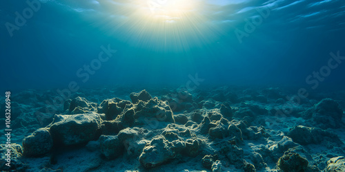 Wallpaper Mural Sunlight casting a sorrowful glow on a lifeless coral reef, revealing the devastating impact of environmental degradation and climate change Torontodigital.ca