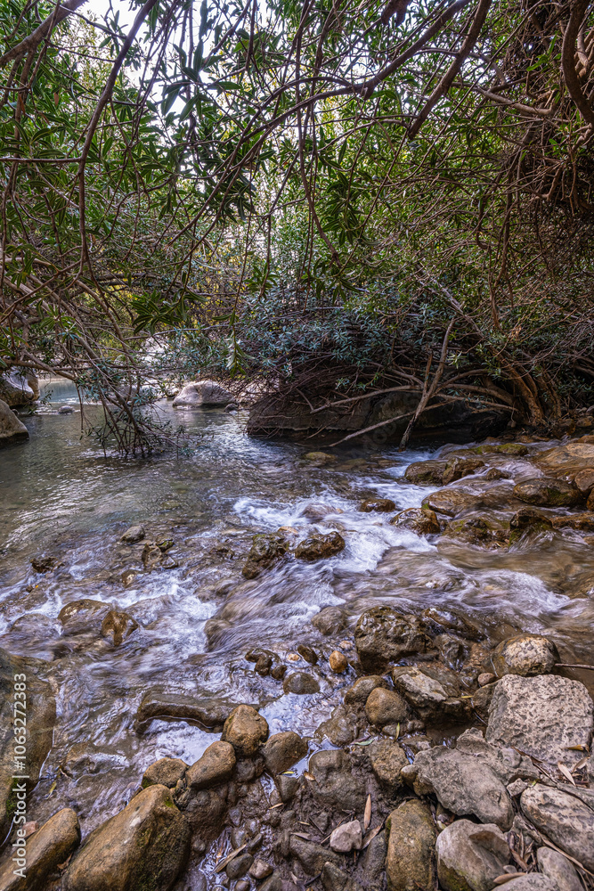 The Algar Springs, a river with crystal-clear waters near Altea and Benidorm in Spain The Algar Springs, a river with crystal-clear waters near Altea and Benidorm in Spain
