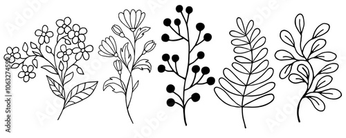 Set of plants in line art style. Vector illustration.
