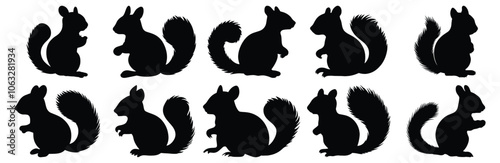 Squirrel silhouette set vector design big pack of animal illustration and icon